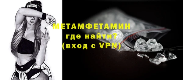 дурь Няндома