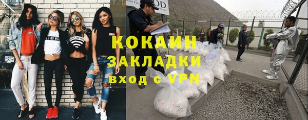 дурь Няндома