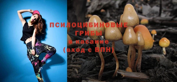 стаф Нягань